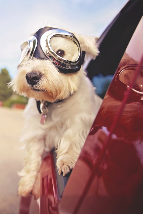 Transparent all-inclusive pricing